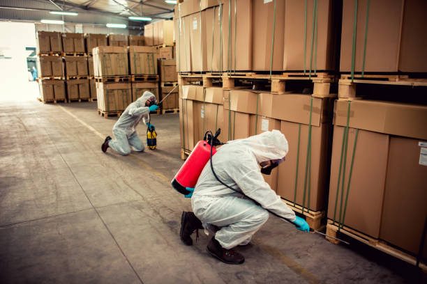 Best Wasp Removal Services  in Elkhorn City, KY
