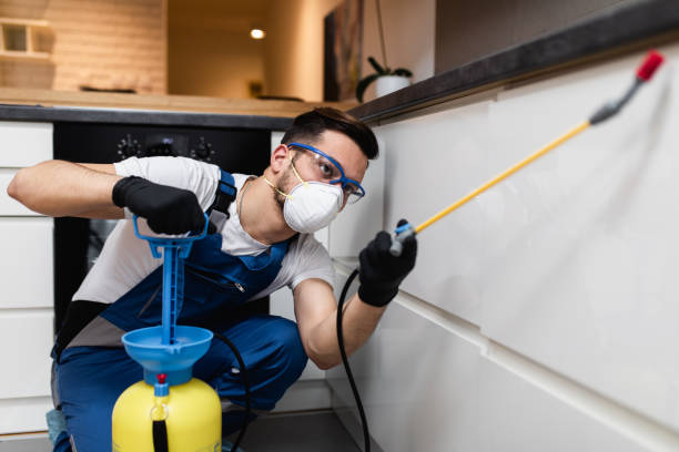Best Wildlife Control Services  in Elkhorn City, KY